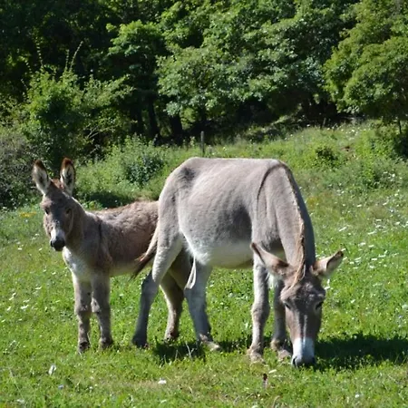 La Miellerie Du Bout Du Monde La Valbonnette Barreme