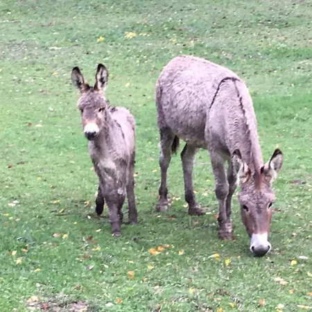 La Miellerie Du Bout Du Monde La Valbonnette בית נופש *