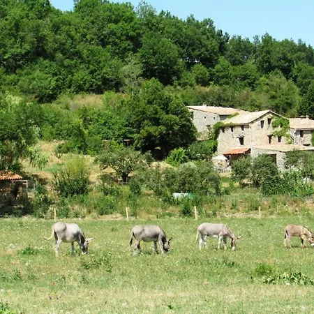 La Miellerie Du Bout Du Monde La Valbonnette