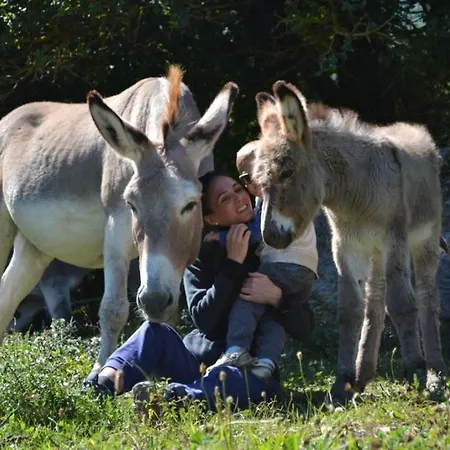 La Miellerie Du Bout Du Monde La Valbonnette בית נופש *