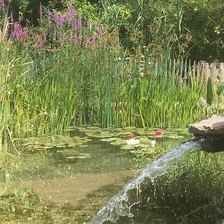 La Miellerie Du Bout Du Monde La Valbonnette בית נופש Barrême